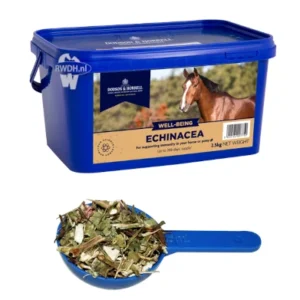 Dodson & Horrell Echinacea