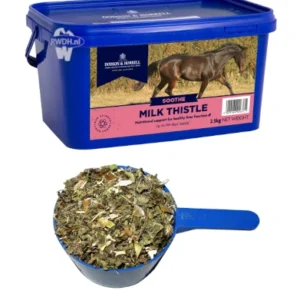 Milk Thistle Mariadistel